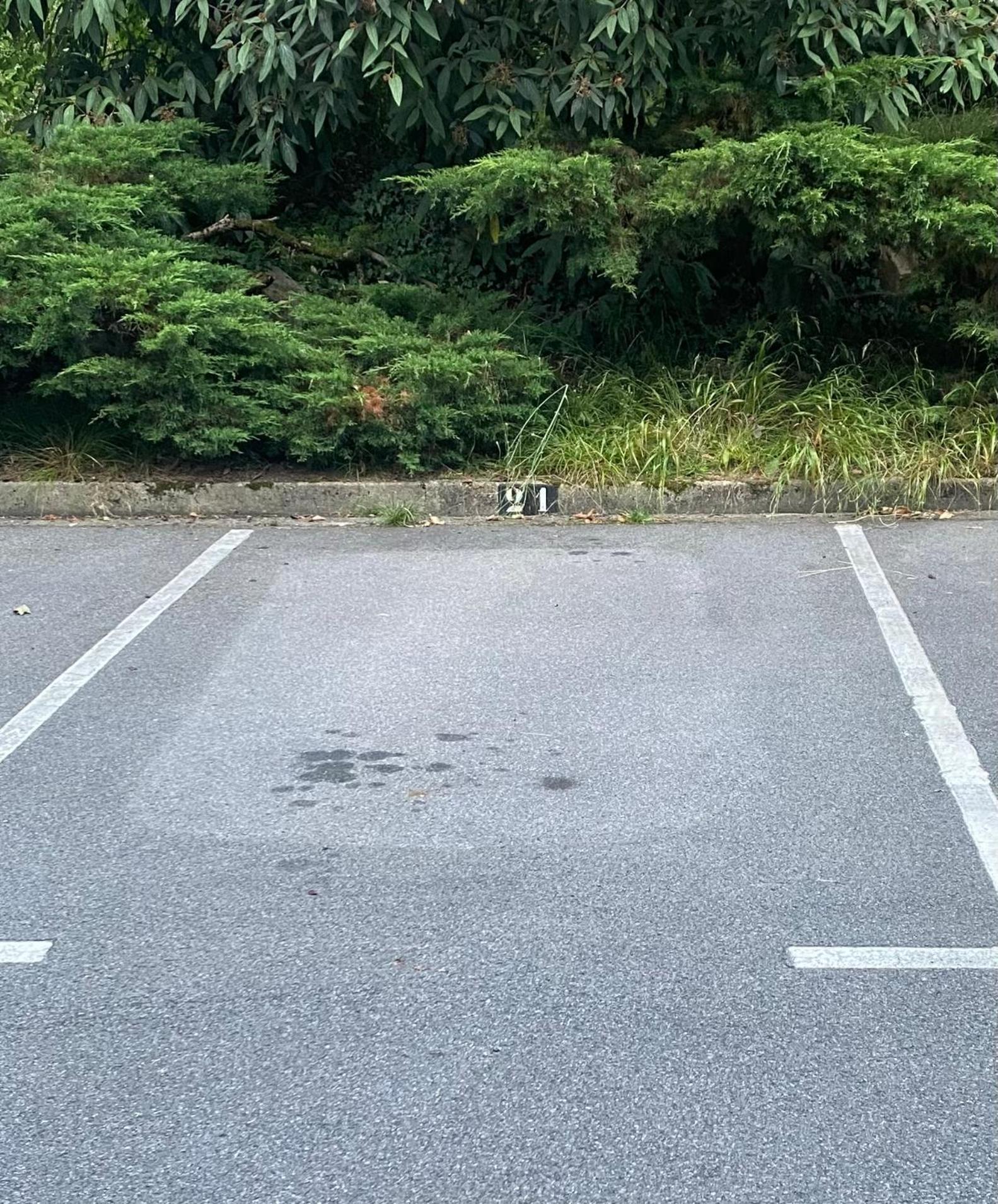 Proche Disneyland Paris 58m2-coeur Du Centre Ville-parking *